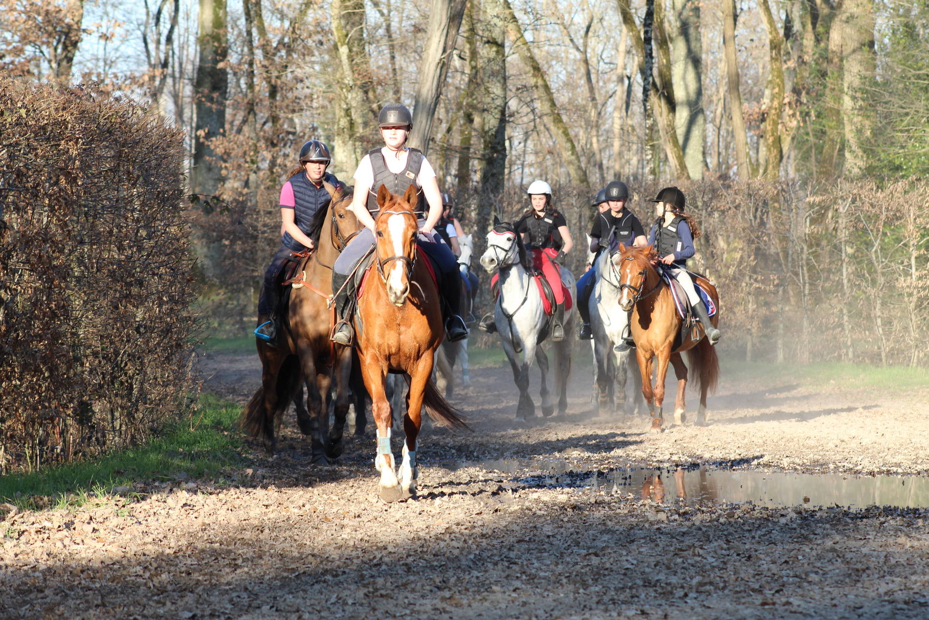 5-Accueil de Groupes